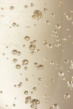 Charger l'image dans la galerie, CARTON 6 BOUTEILLES CHAMPAGNE DN, LE CLASSIQUE