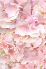 Charger l'image dans la galerie, CHAMPAGNE MERVEILLE DE ROSÉ